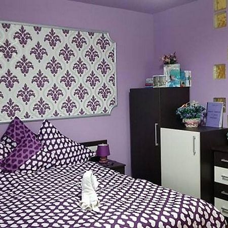 Apartament Garsoniera Cristina Băile Felix Zewnętrze zdjęcie