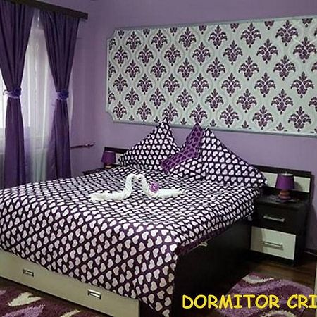 Apartament Garsoniera Cristina Băile Felix Zewnętrze zdjęcie