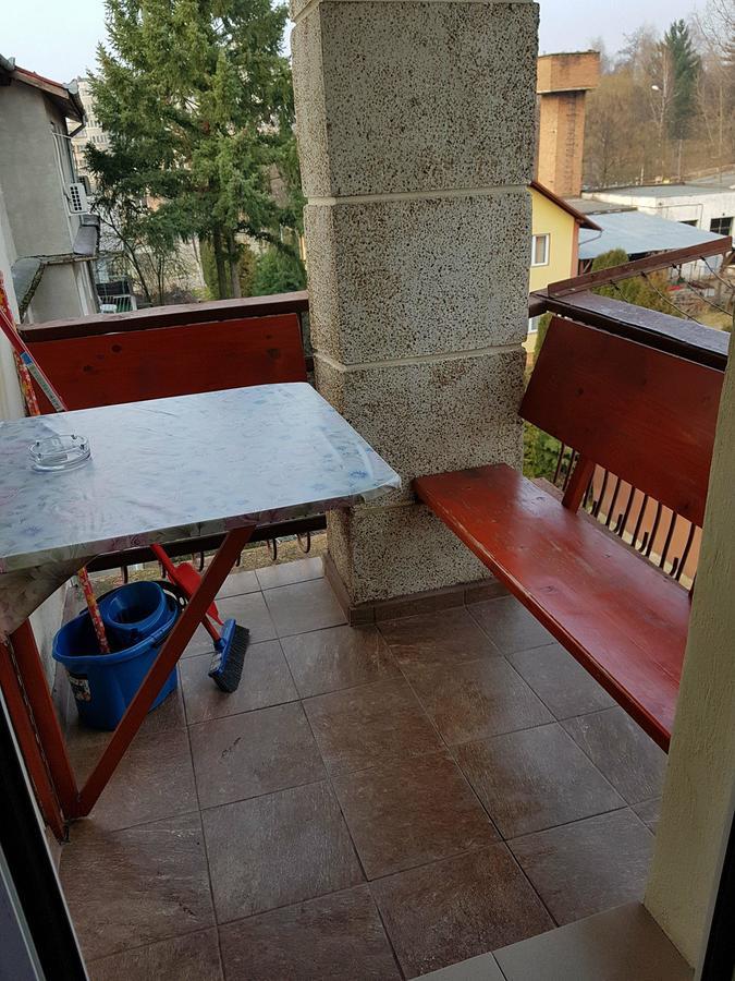 Apartament Garsoniera Cristina Băile Felix Zewnętrze zdjęcie