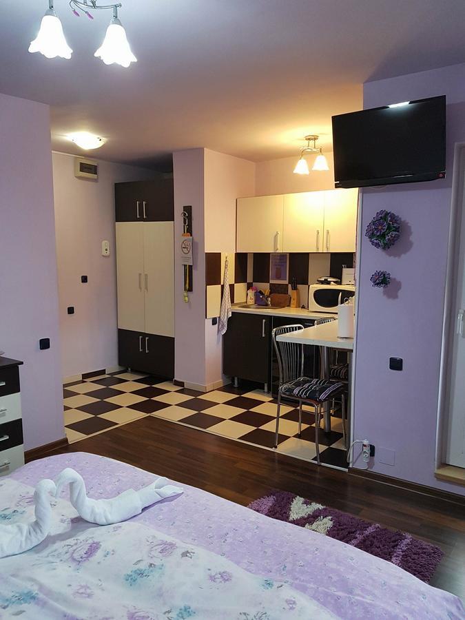 Apartament Garsoniera Cristina Băile Felix Zewnętrze zdjęcie