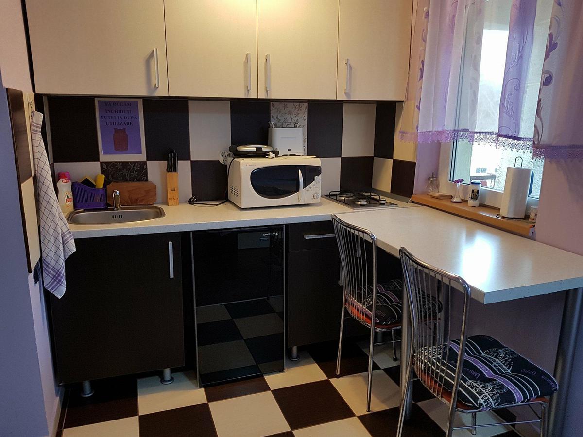 Apartament Garsoniera Cristina Băile Felix Zewnętrze zdjęcie