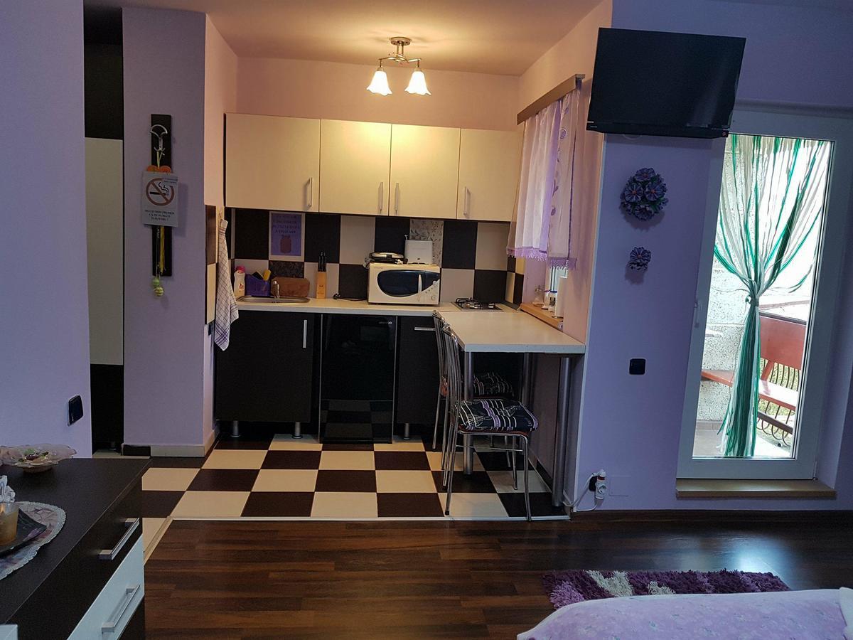 Apartament Garsoniera Cristina Băile Felix Zewnętrze zdjęcie
