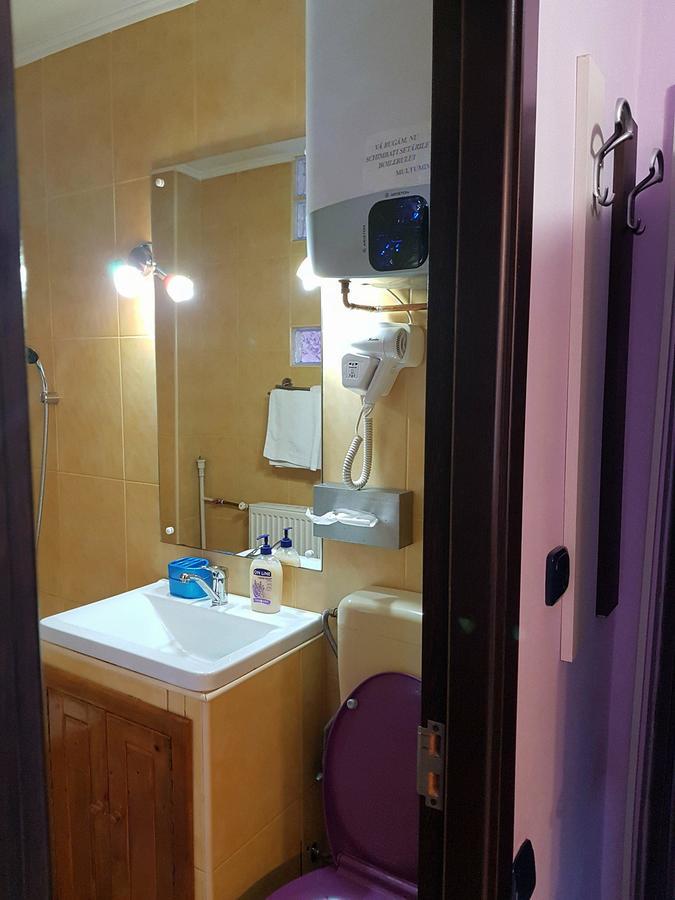Apartament Garsoniera Cristina Băile Felix Zewnętrze zdjęcie