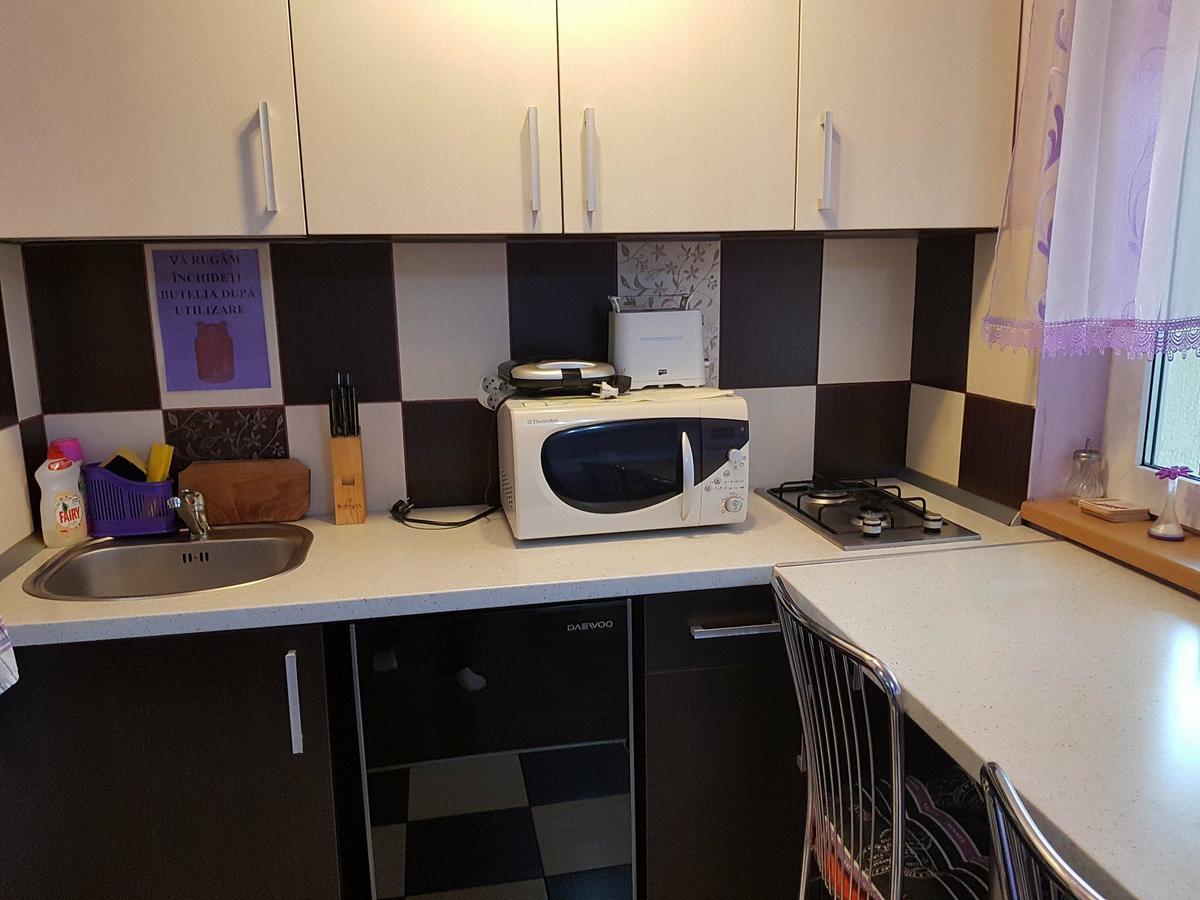 Apartament Garsoniera Cristina Băile Felix Zewnętrze zdjęcie