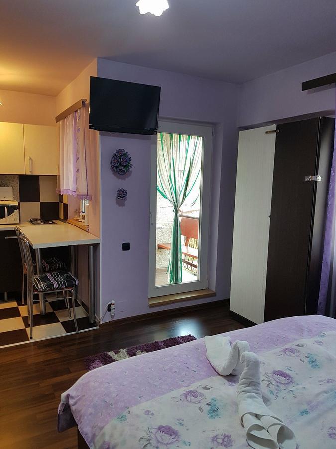 Apartament Garsoniera Cristina Băile Felix Zewnętrze zdjęcie