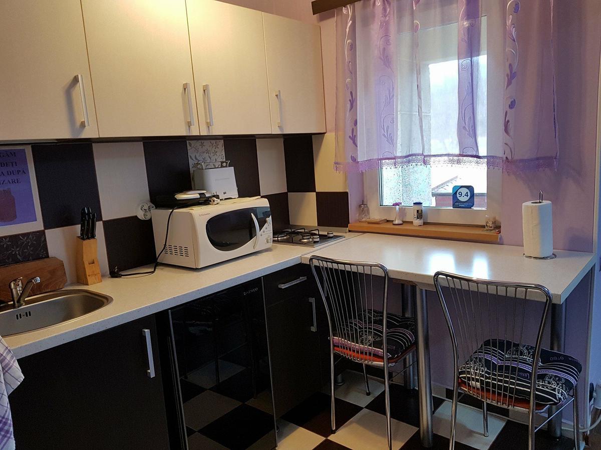 Apartament Garsoniera Cristina Băile Felix Zewnętrze zdjęcie