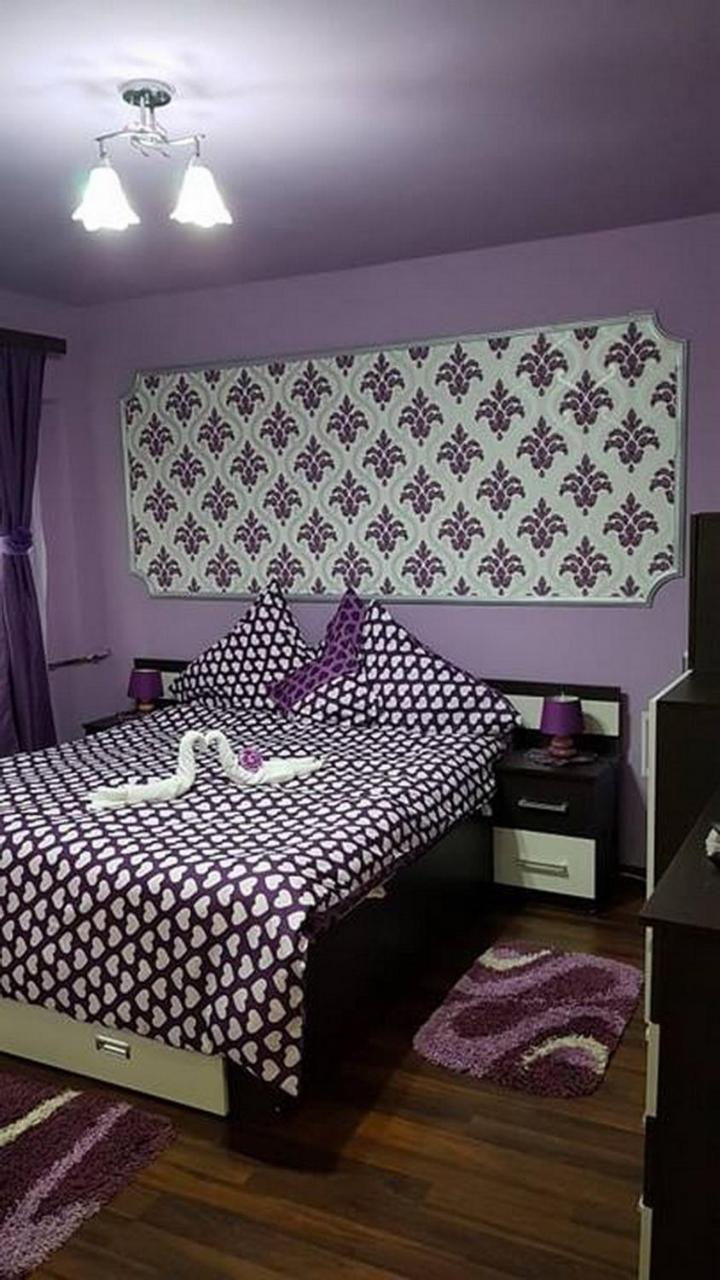 Apartament Garsoniera Cristina Băile Felix Zewnętrze zdjęcie