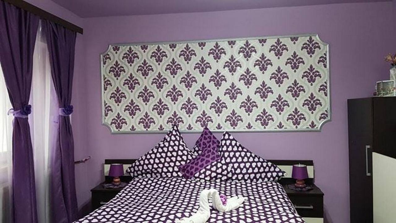 Apartament Garsoniera Cristina Băile Felix Zewnętrze zdjęcie