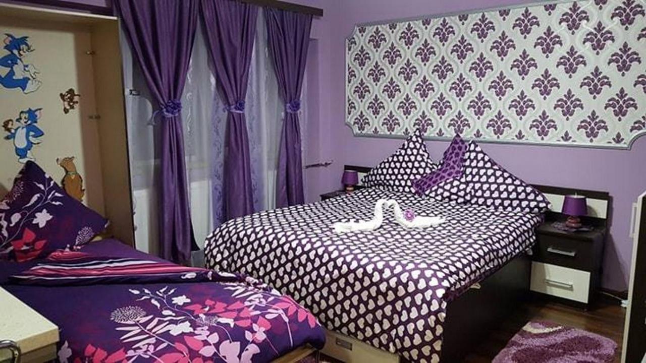 Apartament Garsoniera Cristina Băile Felix Zewnętrze zdjęcie