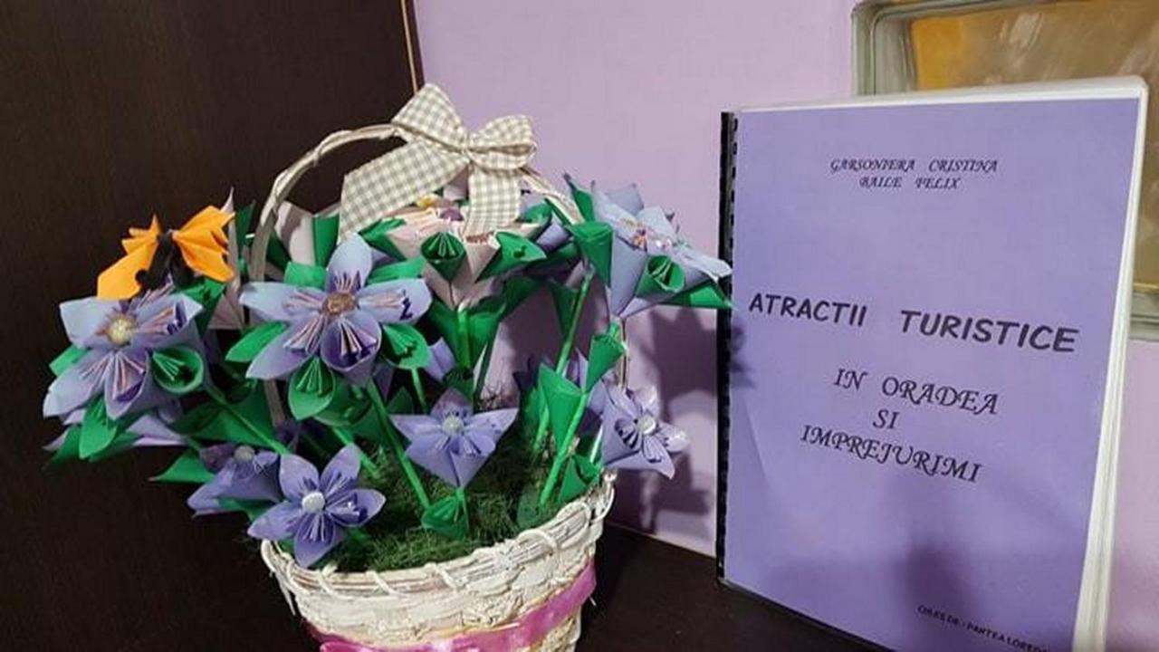 Apartament Garsoniera Cristina Băile Felix Zewnętrze zdjęcie