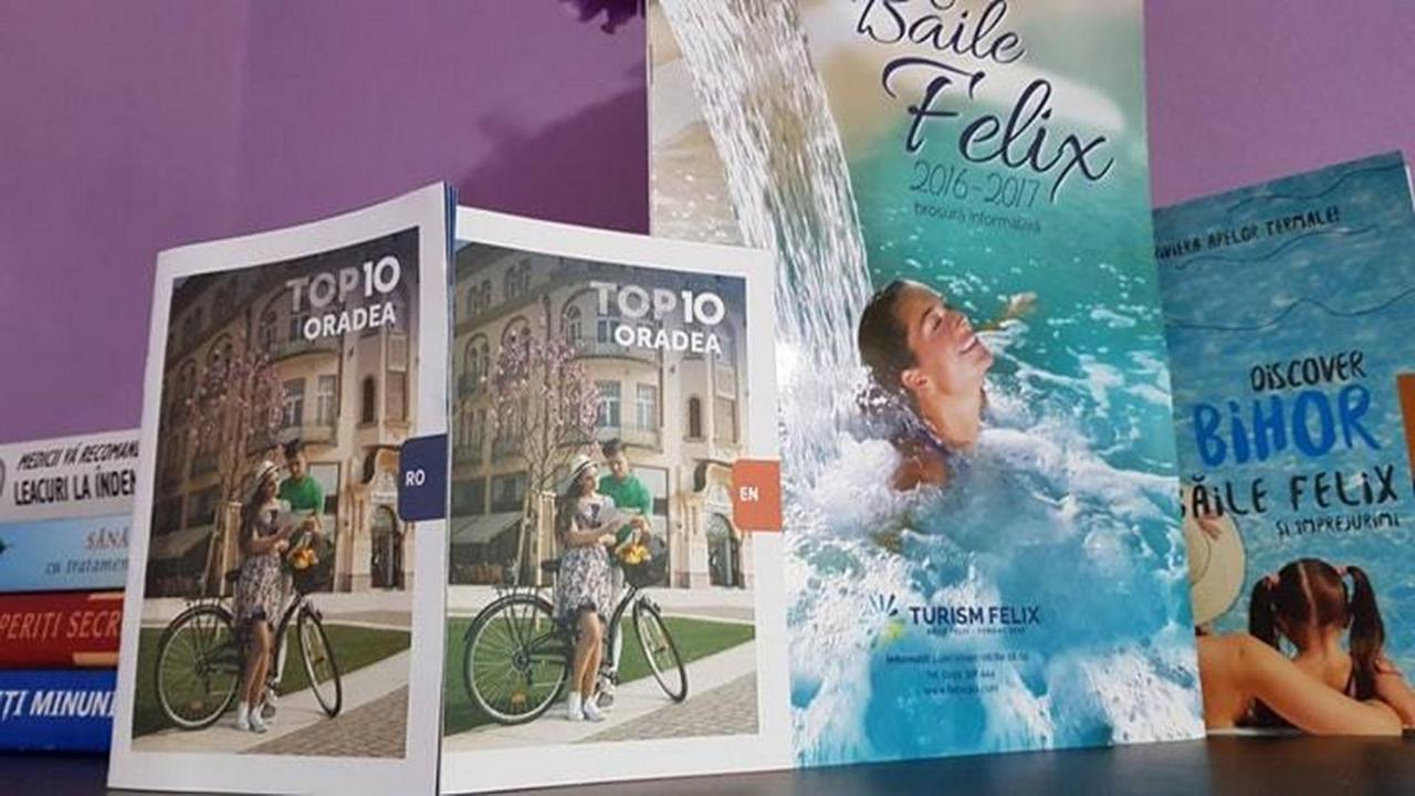 Apartament Garsoniera Cristina Băile Felix Zewnętrze zdjęcie