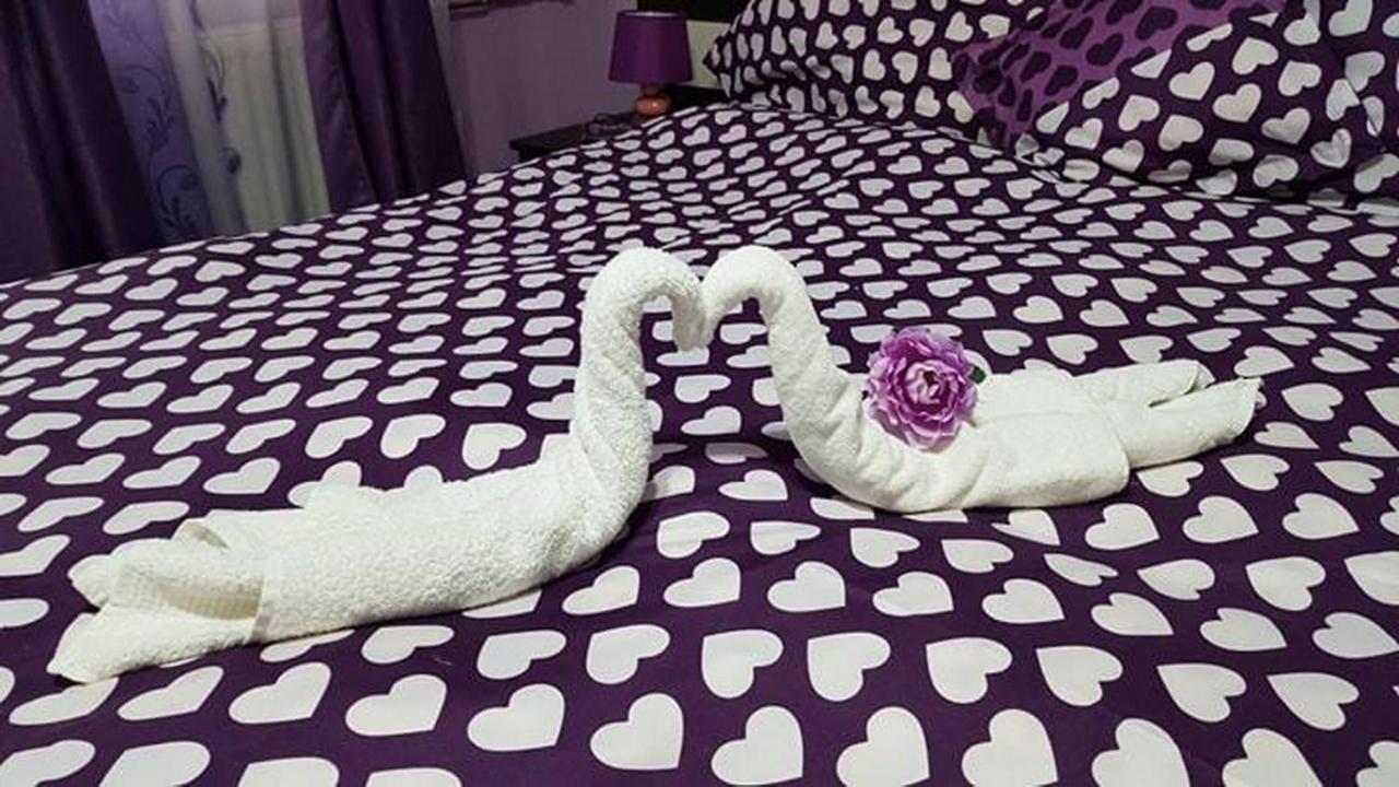 Apartament Garsoniera Cristina Băile Felix Zewnętrze zdjęcie