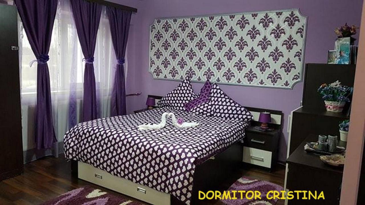 Apartament Garsoniera Cristina Băile Felix Zewnętrze zdjęcie