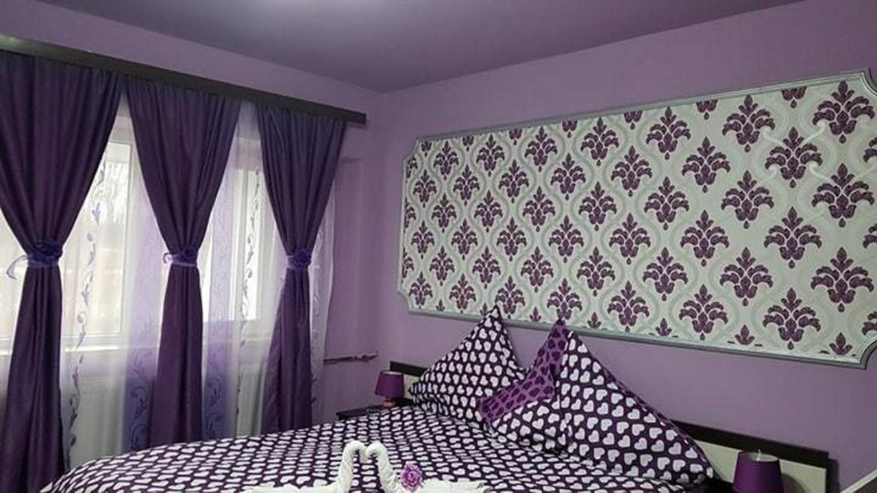 Apartament Garsoniera Cristina Băile Felix Zewnętrze zdjęcie