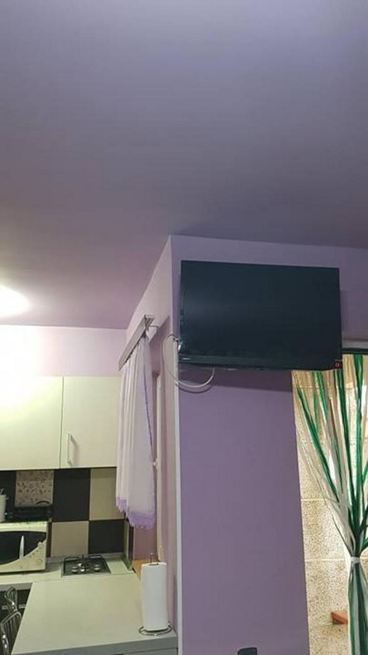 Apartament Garsoniera Cristina Băile Felix Zewnętrze zdjęcie
