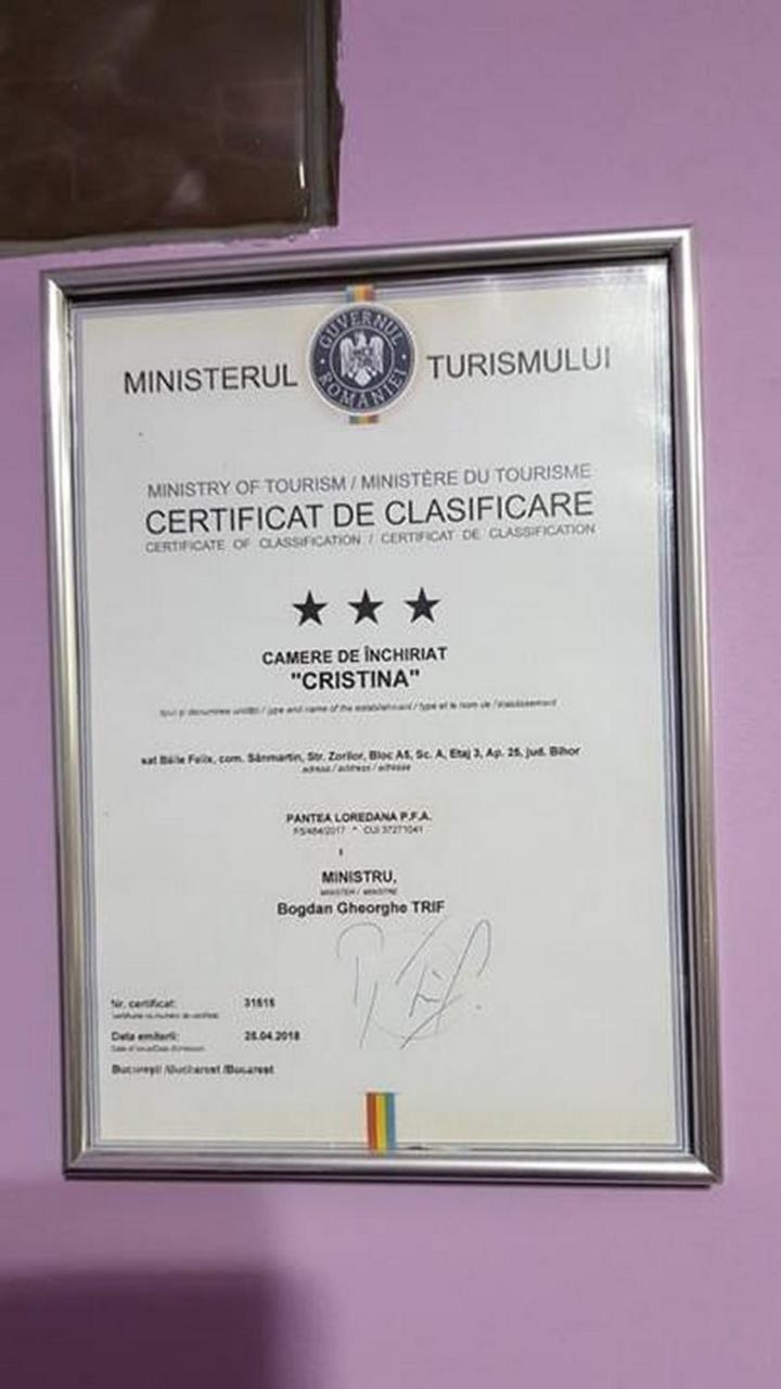 Apartament Garsoniera Cristina Băile Felix Zewnętrze zdjęcie